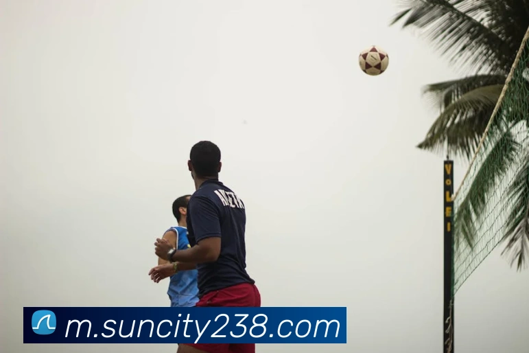 App Interface Preview